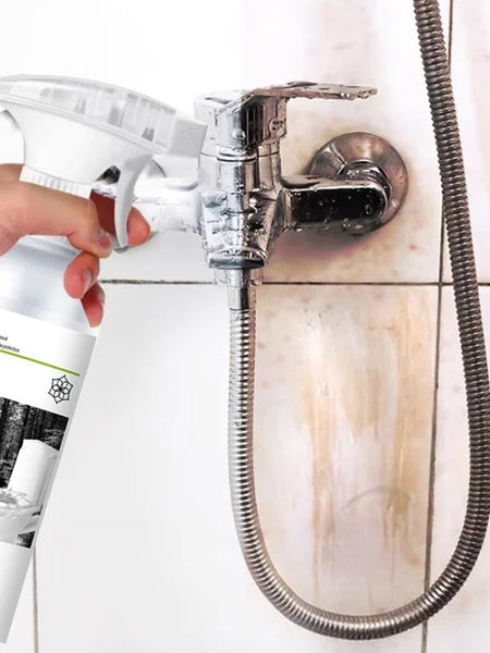 Multifunctional Descaler with Oxalic Acid for Stain Removal