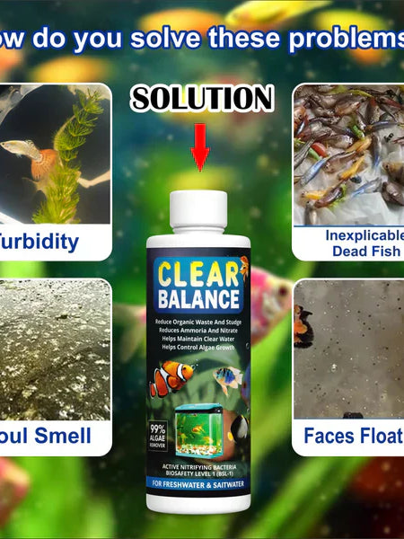 ClearBalance™ – Automatic Fish Tank Cleaning Agent – (Buy 1 Get 2 Free🔥)