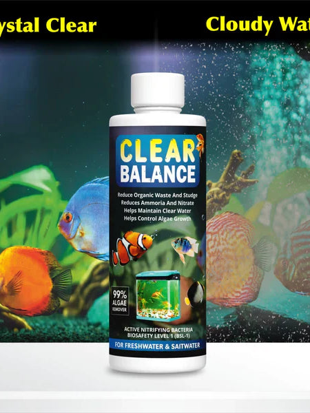ClearBalance™ – Automatic Fish Tank Cleaning Agent – (Buy 1 Get 2 Free🔥)